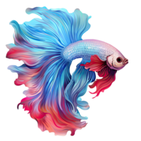 AI generated Betta fish, Siamese fighting fish isolated on transparent background. png