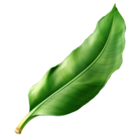 AI generated Green banana leaf isolated on transparent background png