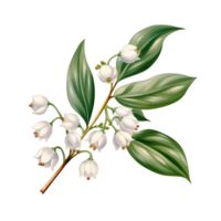 AI generated A mistletoe sprig with white berries isolated on a transparent background png