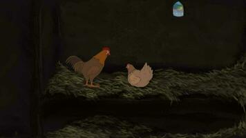 The rooster is eating seeds and chicken is sitting in barns 2D Animation video