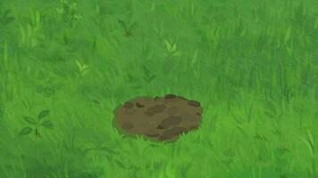 pflücken oben von das Stein von das Boden durch Hand von Jäger 2d Animation video