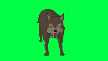 2D character cycle of a wild wolf who is angry. Green screen Chroma key. video