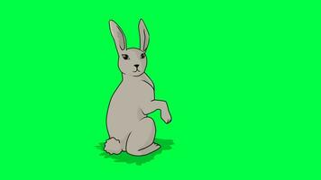 The 2D character of the rabbit is grazing and then gets up and looks. Chroma key video