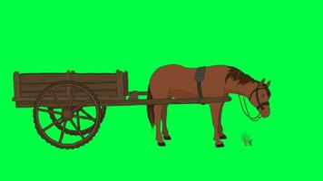 2D cycle of a horse grazing with a carriage attached to its back. Green screen video