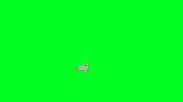 D rabbit running that enters the scene from the left side and exits. GreenScreen video