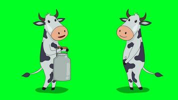 Walking cycle of a 2D cow character standing with a container of milk in hand. video