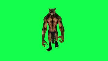 3d scary animated werewolf walking front angle isolated green screen video