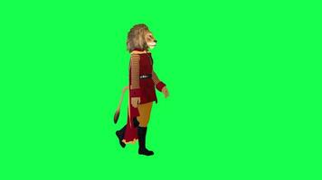 3d animated lion in red dress and cape walking left angle isolated green screen video