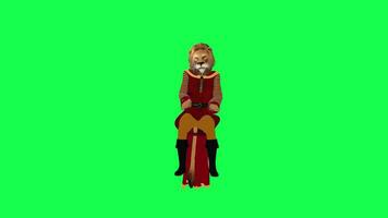 3d animated lion playing swearing isolated front angle green screen video