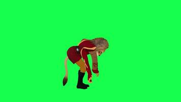 3D animated lion picks something up from the ground isolated left corner green video