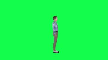 3d dibujos animados hombre hablando aislado izquierda ángulo verde pantalla video