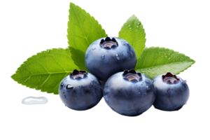 AI generated Blueberry on Transparent background png