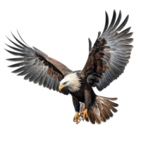 AI generated Majestic Haast's Eagle, on transparent background. png