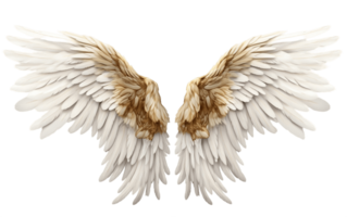 AI generated Clean Design Angel Wings with Transparent Isolation Generative AI png