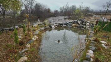 a small pond with rocks and water in the middle video