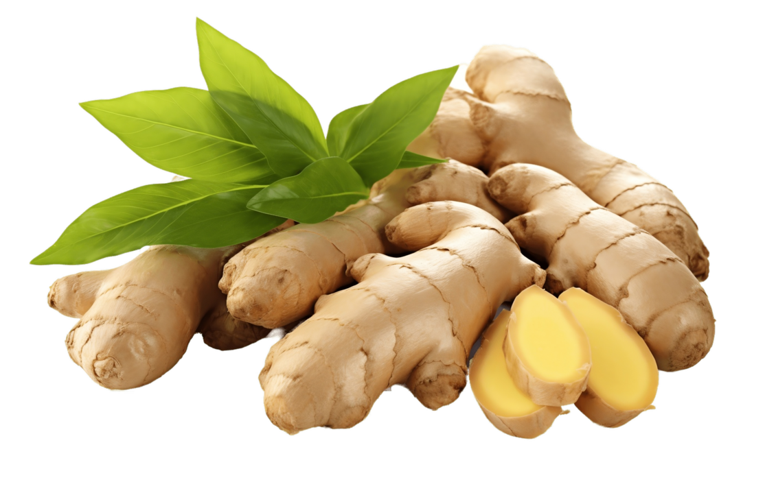 Ginger PNGs for Free Download