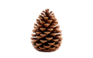 AI generated Pinecone on Transparent Background, PNG format