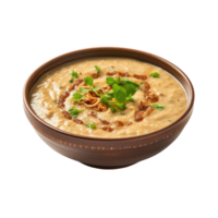 AI generated Savory Haleem Dish 3D, on transparent background. png