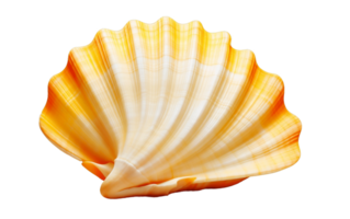 AI generated Seashell Isolated on Transparent Background Generative AI png