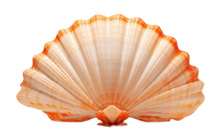 AI generated Transparent Background Sea Shell Isolated png