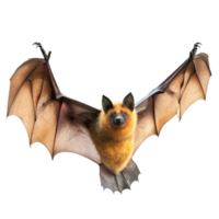 AI generated Lifelike Illustration of Giant Golden-Crowned Flying Fox, on transparent background. png