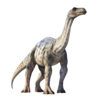 ai genererad realistisk camarasaurus 3d, på transparent bakgrund. png