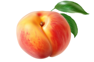 AI generated Peach Isolation on Transparent background png
