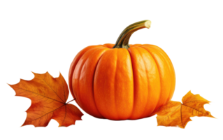 AI generated Pumpkin on Transparent background png