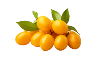 ai gerado kumquat citrino fruta obra de arte em transparente fundo png