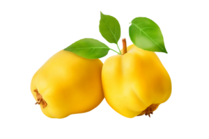 AI generated Realistic Quince Illustration on Transparent background png