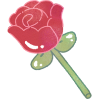 Untitled ArtworkValentine Cute Red Rose Flower For Valentine's Day png
