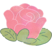 Valentine Cute Rose Flower For Valentine's Day png