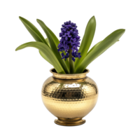 AI generated A polished brass planter with a single grape hyacinth isolated on a transparent background png