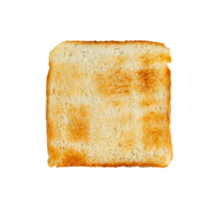 torrado fatia pão isolado png
