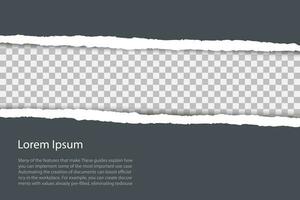 Gray background with copyspace and torn paper edge. Vector illustration.