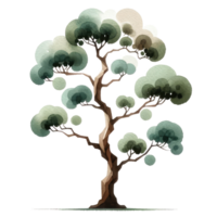 ai généré aquarelle illustration de une épanouissement arbre png