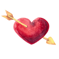 Red heart with arrow in watercolor style. Hand drawn illustration isolated on transparent background png