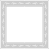 Frame vector