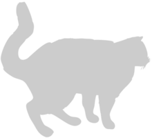 Cat vector