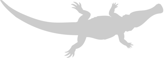 Alligator vector