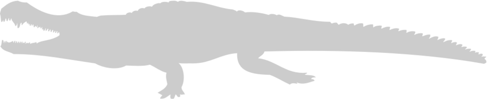 Alligator vector