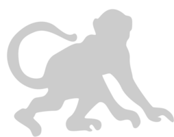 Ape vector