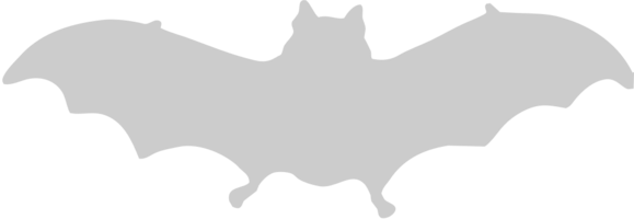 Bat vector