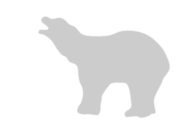 Bear vector