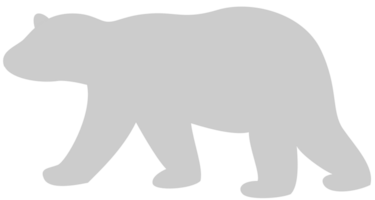 Bear vector