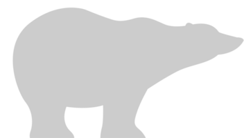 Bear vector