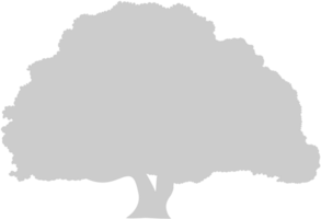 Tree vector