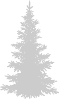 Pine Tree vector