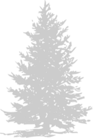 Pine Tree vector