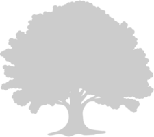 Tree vector